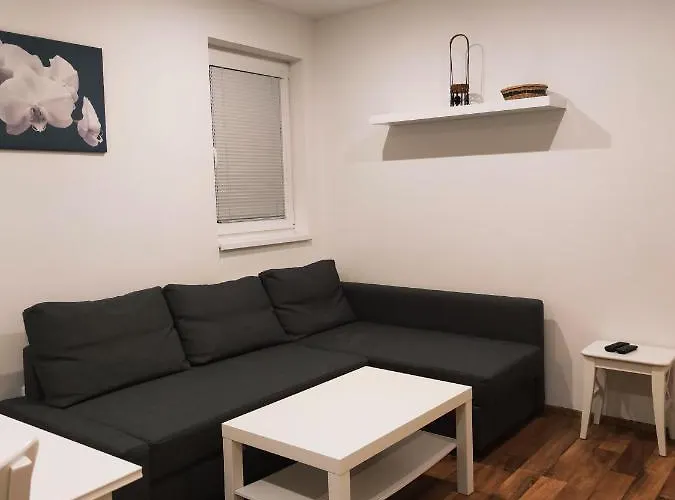Pod Sjezdovkou Casa de hóspedes 3*