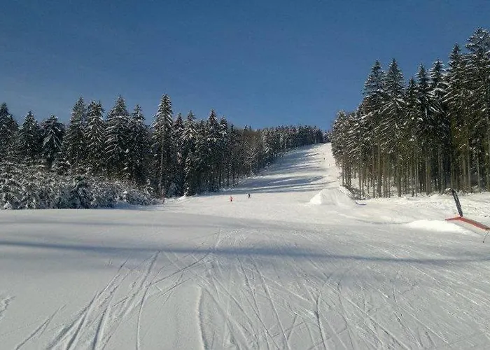 Pod Sjezdovkou Casa de hóspedes 3*